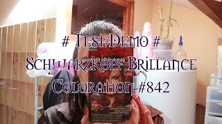 Méliane  TestDémo Schwarzkopf Brillance Coloration 842 [upl. by Territus]