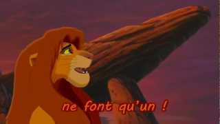 Le Roi Lion 2  Nous sommes un lyrics [upl. by Eiuqnom]