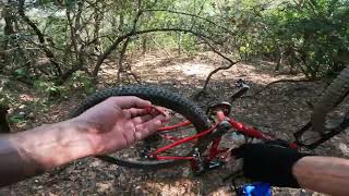 MTB Collserola  New trails and punctures  Hardtail [upl. by Atinrahc214]