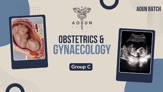 Group C ObsampGyn  Lec 17  hematological disorders in pregnancy [upl. by Anuat]