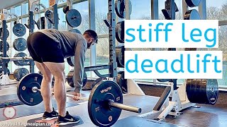 Barbell Stiff Leg Deadlift [upl. by Mittel873]