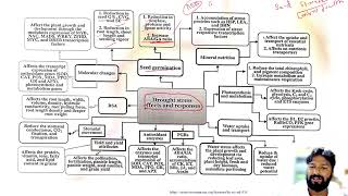 Drought stress Physiology [upl. by Lokkin970]