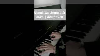 Moonlight Sonata 1st mvt  Beethoven 🌕  Naël Monteleone piano music beethoven youtubeshorts [upl. by Wivinah]