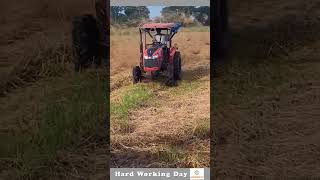 Hard Working Day 170 Dry Hay Spreader In The Field [upl. by Akihsar]