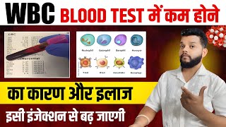 WBC कम होने का कारण और इलाज  Treatment Of Low WBC Count In CBC Report [upl. by Cahan813]