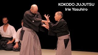 Kokodo Jujutsu avec Yasuhiro Irie  NAMT 2017 [upl. by Egiarc]