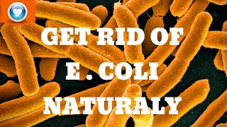 How to Get rid of Ecoli Forever with the help of this natural remedy [upl. by Onurb242]