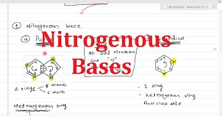 Nitrogenous Bases  Chemistry of Nucleic acid Part1  Purines amp Pyrimidines [upl. by Eelinnej]