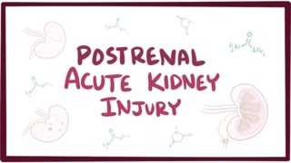 Postrenal acute kidney injury acute renal failure  causes symptoms amp pathology [upl. by Cleti]