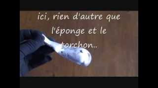 comment nettoyer lalumunium how to clean aluminum foil limpiar aluminio [upl. by Atnes906]