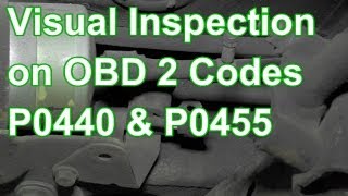 How to Diagnose Codes P0440 or P0455 Using Visual Inspection [upl. by Arlyn]