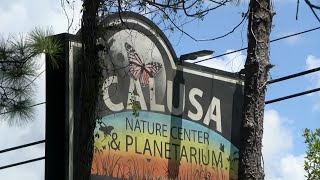 Renovations wrapping up for Calusa Nature Center in Fort Myers [upl. by Svirad]