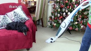 ibaisaics Video Advent Video Day 21 Hoover Idol Stick Vacuum Unboxing [upl. by Ztnaj]