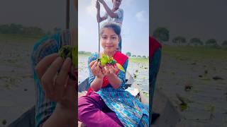 শাপলার ফল দিয়ে কি করবো🤔video minivlog shortvideo viralvideo village hardwork [upl. by Yahc]