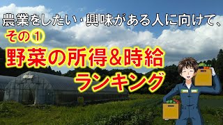 【新規就農向け情報①】結局、何の野菜が儲かるの？ [upl. by Airuam]