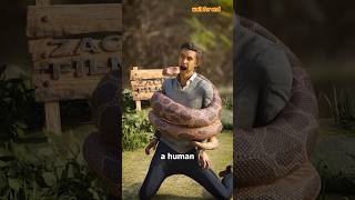 How A Snake Could Choke A Human 😱shorts [upl. by Nowell]