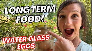 How To Water Glass EGGS So EASY For Long Term Food Storage  Last YEARS  Off Grid Pantry [upl. by Yelnet190]