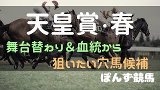 【天皇賞・春】舞台替わり＆血統から狙いたい穴馬を語りたい [upl. by Morette]