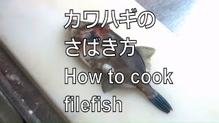 カワハギのさばき方 How to cook filefish Japanese food [upl. by Nnyled896]