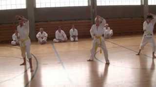 Heian Shodan langsam [upl. by Peonir]