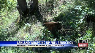 Ashland continuing to build climate resilience in cityowned forests [upl. by Leuqar]