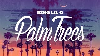 KING LIL G  Palm Trees Freestyle [upl. by Wolff427]