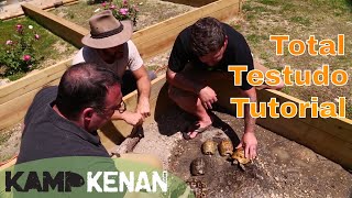 Testudo Tortoise Tutorial [upl. by Aia464]