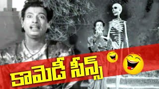 Telugu Old Movies Comedy Scenes [upl. by Yrod]