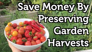 Preserve Garden Fruit and Vegetables 4 Easy Methods [upl. by Auhs]