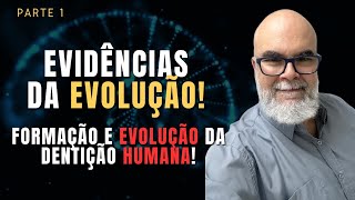 Evidências de EVOLUÇÃO Formação e Evolução da Dentição humana Dr Eduardo Zombini [upl. by Mcclelland]