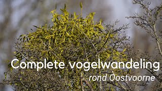 Vogels kijken rond Oostvoorne  de complete serie 1149 [upl. by Levona]