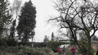 woman pulling conifer tree down [upl. by Vivyan]