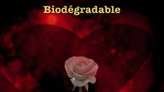 Biodegradable by Ginette Reno [upl. by Hameean]