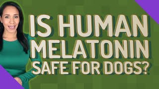 Is human melatonin safe for dogs [upl. by Solana437]