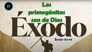 Los primogénitos son de Dios  Éxodo 13116 [upl. by Aynotan]