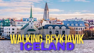 Iceland  Reykjavik Walking Tour  Downtown  Tjörnin Lake [upl. by Ahsitaf]