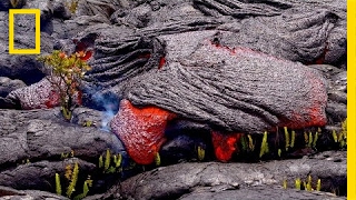 Follow a Lava River’s Mesmerizing Path of Destruction  Short Film Showcase [upl. by Jammie]