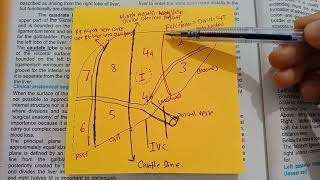 LOBES OF LIVER surgical anatomy chap32 [upl. by Oettam503]