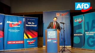 Andreas Lichert Darum wird die AfD diffamiert [upl. by Icnan]