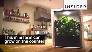 This miniature farm grows food on your kitchen counter [upl. by Araeit]