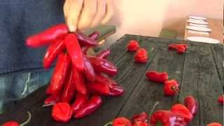 How to dry and string chillies [upl. by Pardoes]