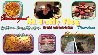 XLDaily Vlog  Gemüseragout  ErdbeerKirschkuchen mit Gus  Marmelade Überschwämmt  Voller Tag [upl. by Gay763]