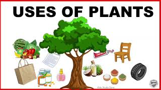 Uses of Plants for kids  Use of Plants  Plants and their uses [upl. by Anay]