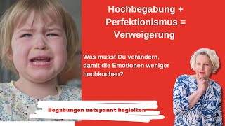 Hochbegabung  Perfektionismus  Verweigerung [upl. by Aihsekat]