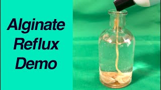 How Alginate Helps Control Reflux RealLife Demonstration [upl. by Derfla]