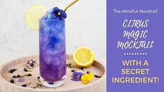 Citrus Magic Mocktail Recipe  Summer Mocktails and NonAlcoholic Cocktails  The Mindful Mocktail [upl. by Salba]