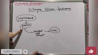 Zollinger Ellison syndrome  Acid Peptic Disorders  Kayachikitsa  Geetaru Shanjalii  Ayurveda [upl. by Marquardt]