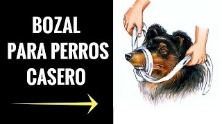 Bozal para perros Como fabricar uno en tu casa  Muzzle for Dogs [upl. by Haldas]