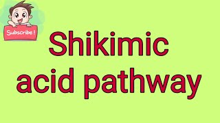 Shikimic acid pathway [upl. by Nuzzi331]