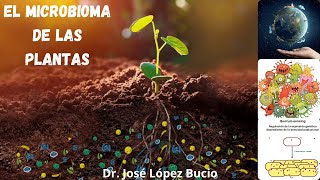 El Microbioma de las Plantas  Dr José LópezBucio Investigador Científico [upl. by Karp]